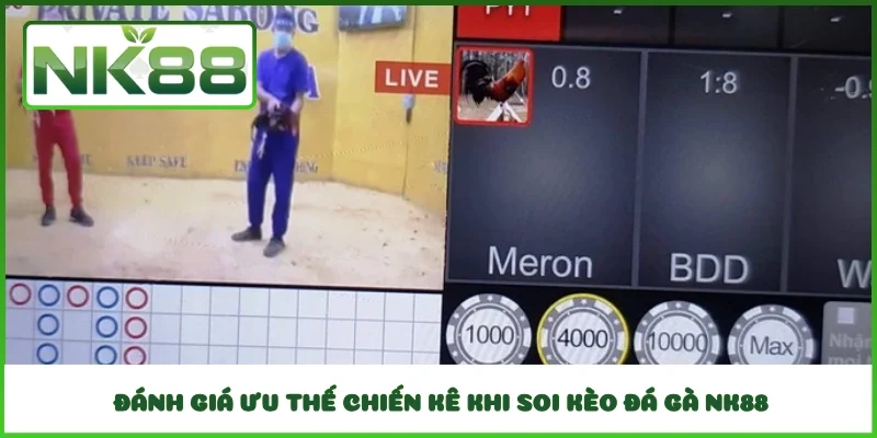  Đánh giá ưu thế chiến kê khi soi kèo đá gà NK88