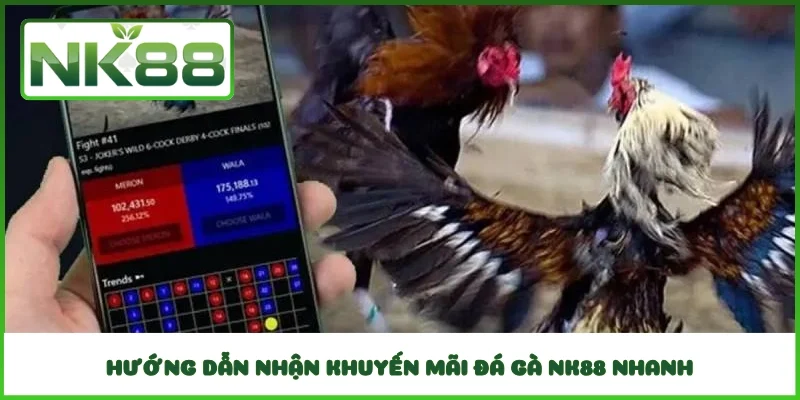 Hướng dẫn nhận khuyến mãi đá gà NK88 nhanh