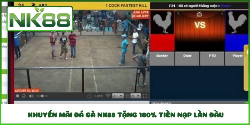 Khuyến mãi đá gà NK88 tặng 100% tiền nạp lần đầu
