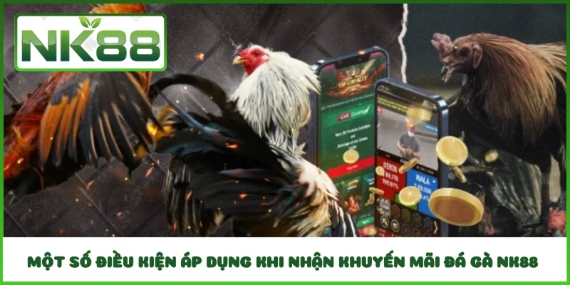 Một số điều kiện áp dụng khi nhận khuyến mãi đá gà NK88