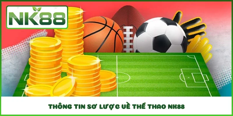 Thông tin sơ lược về thể thao NK88